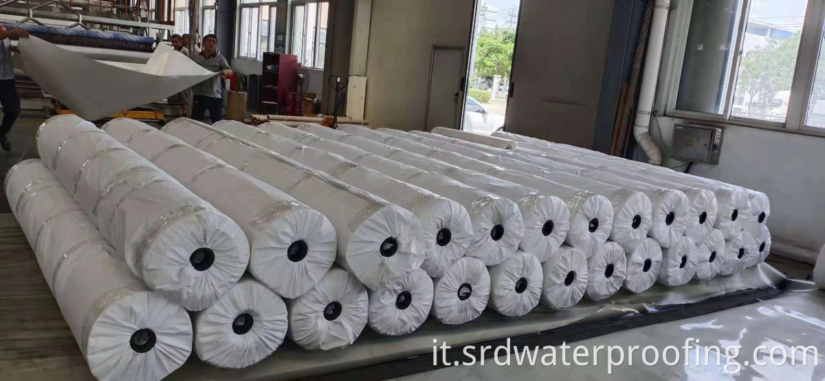 TPO Waterproofing Membrane